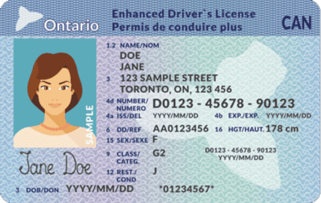 G2-License