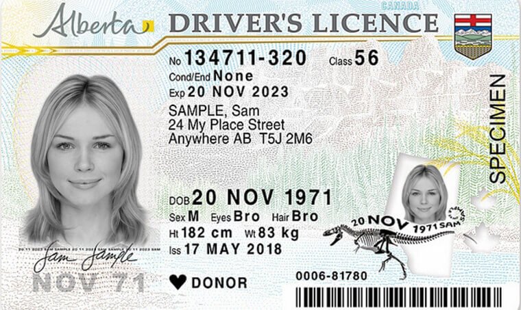 alberta-drivers-licence